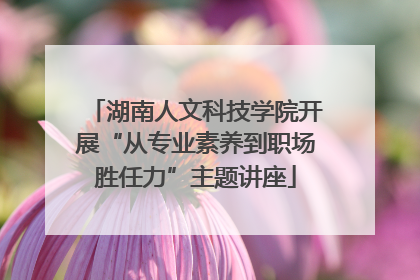 湖南人文科技学院开展“从专业素养到职场胜任力”主题讲座